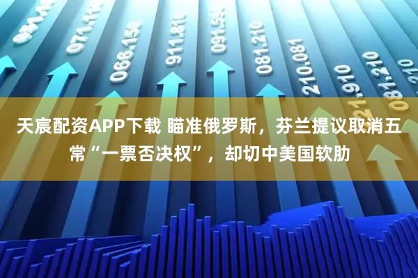 天宸配资APP下载 瞄准俄罗斯，芬兰提议取消五常“一票否决权”，却切中美国软肋