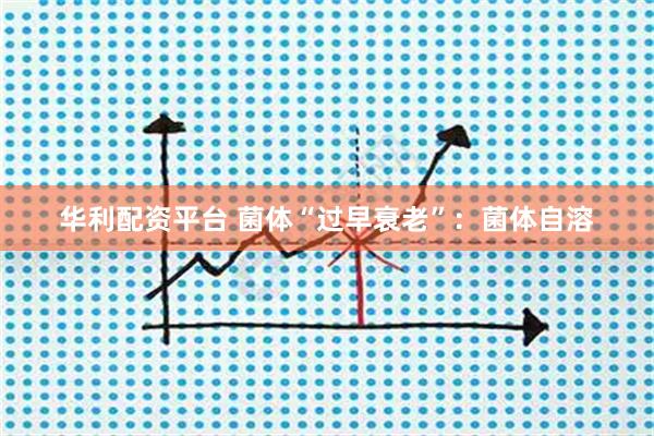 华利配资平台 菌体“过早衰老”：菌体自溶