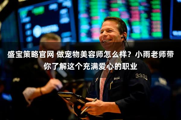 盛宝策略官网 做宠物美容师怎么样？小雨老师带你了解这个充满爱心的职业