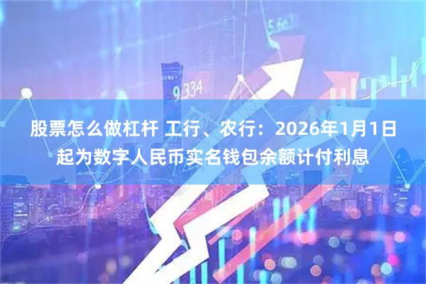 股票怎么做杠杆 工行、农行：2026年1月1日起为数字人民币实名钱包余额计付利息